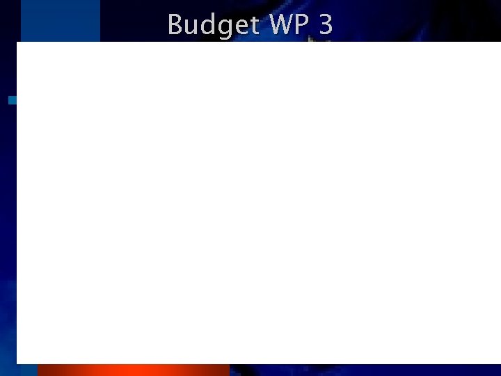 Budget WP 3 