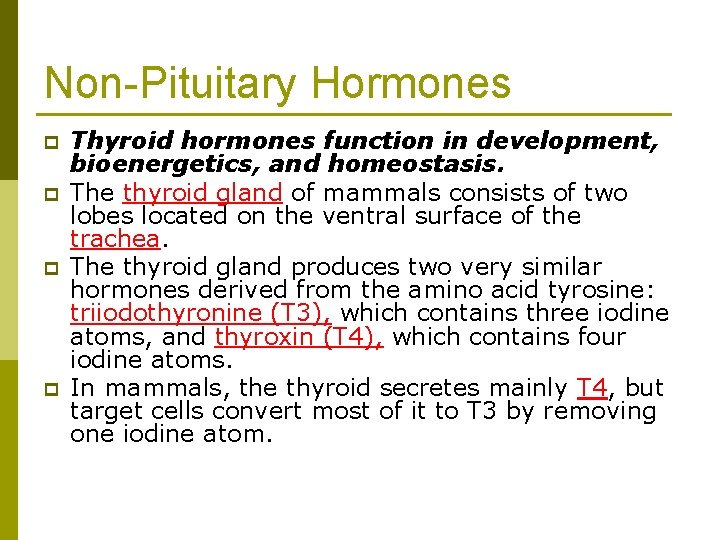 Non-Pituitary Hormones p p Thyroid hormones function in development, bioenergetics, and homeostasis. The thyroid