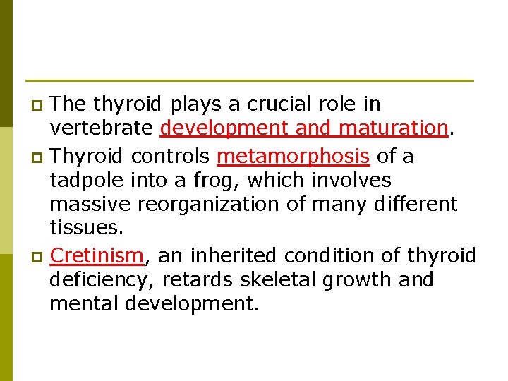 The thyroid plays a crucial role in vertebrate development and maturation. p Thyroid controls