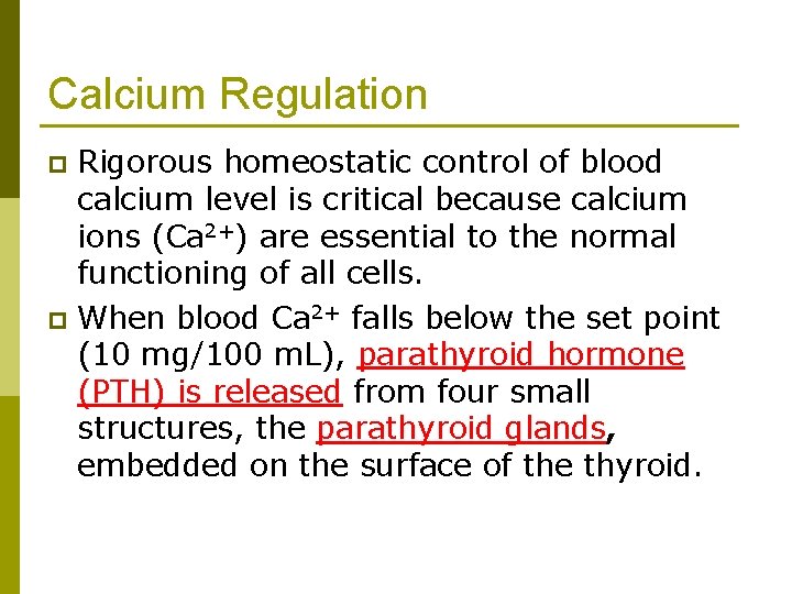 Calcium Regulation Rigorous homeostatic control of blood calcium level is critical because calcium ions