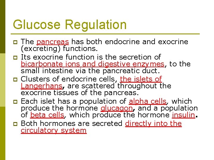 Glucose Regulation p p p The pancreas has both endocrine and exocrine (excreting) functions.