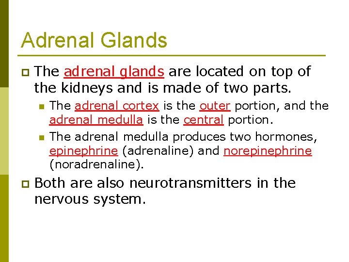 Adrenal Glands p The adrenal glands are located on top of the kidneys and