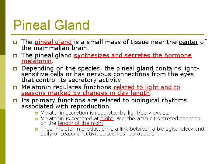 Pineal Gland p p p The pineal gland is a small mass of tissue