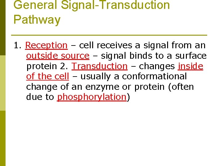 General Signal-Transduction Pathway 1. Reception – cell receives a signal from an outside source