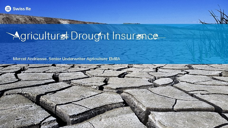 Agricultural Drought Insurance Marcel Andriesse, Senior Underwriter Agriculture EMEA 