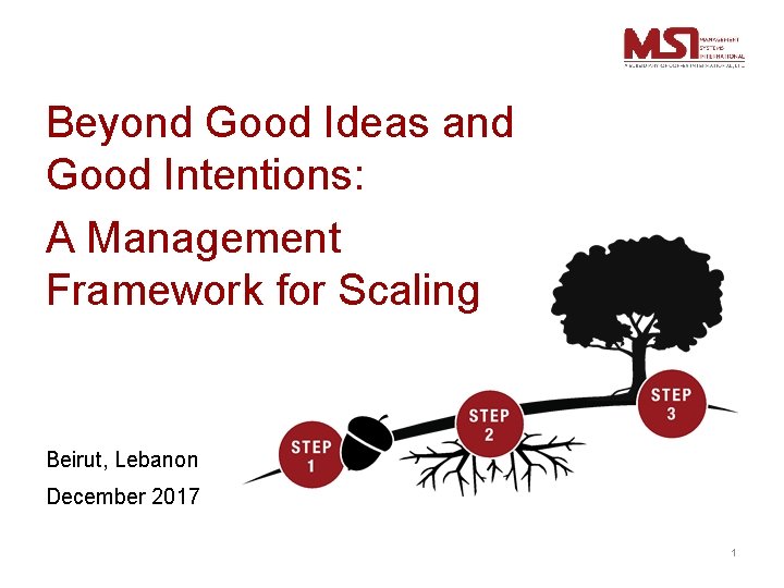 Beyond Good Ideas and Good Intentions: A Management Framework for Scaling Beirut, Lebanon December
