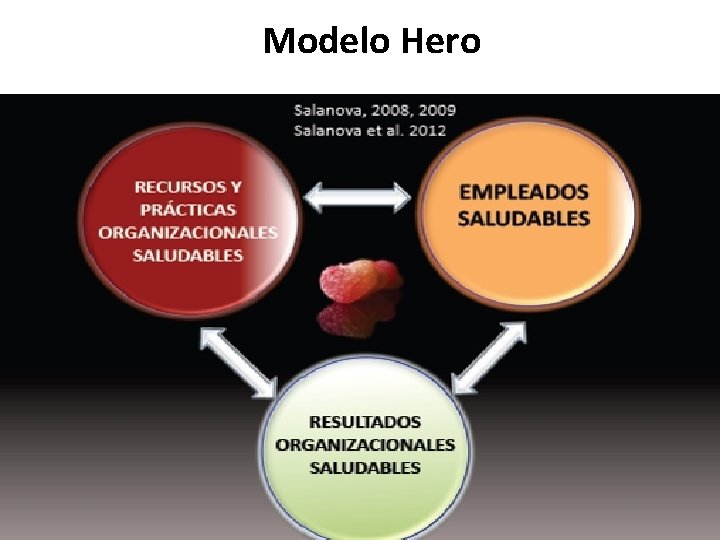 Modelo Hero 