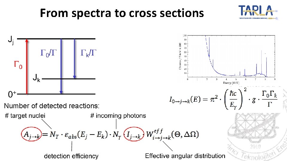 From spectra to cross sections Number of detected reactions: 