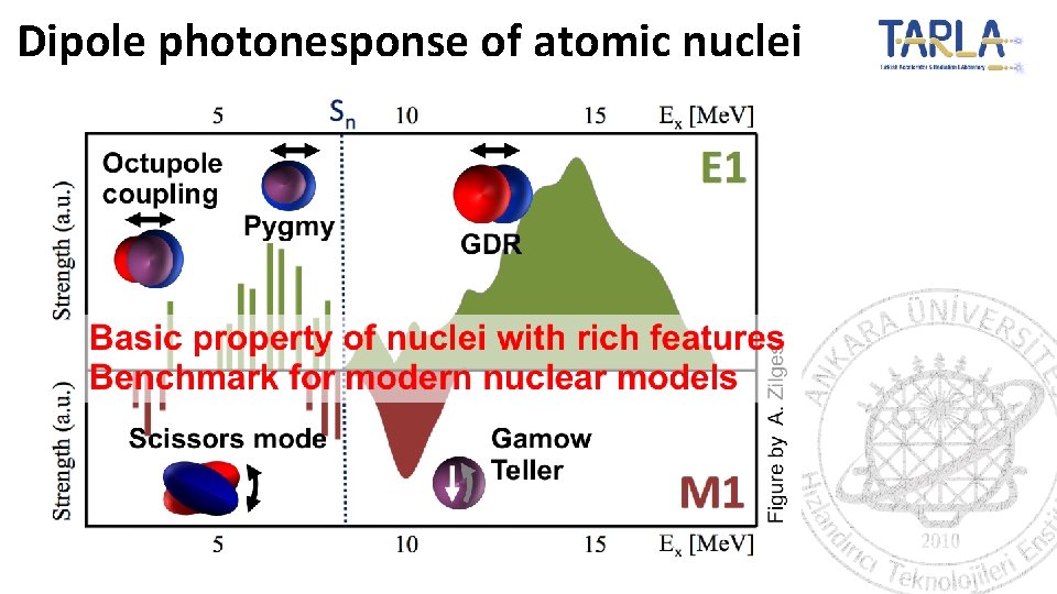 Dipole photonesponse of atomic nuclei 
