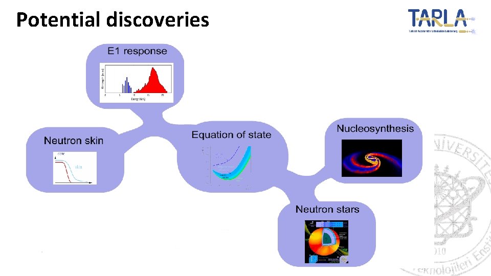 Potential discoveries 