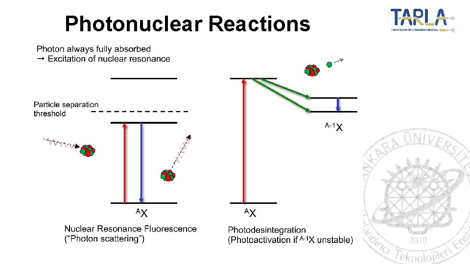 Photonuclear Reactions 