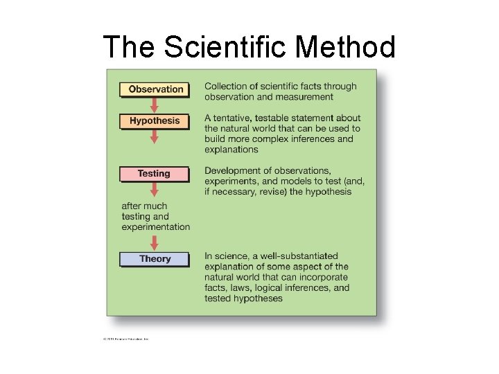 The Scientific Method 