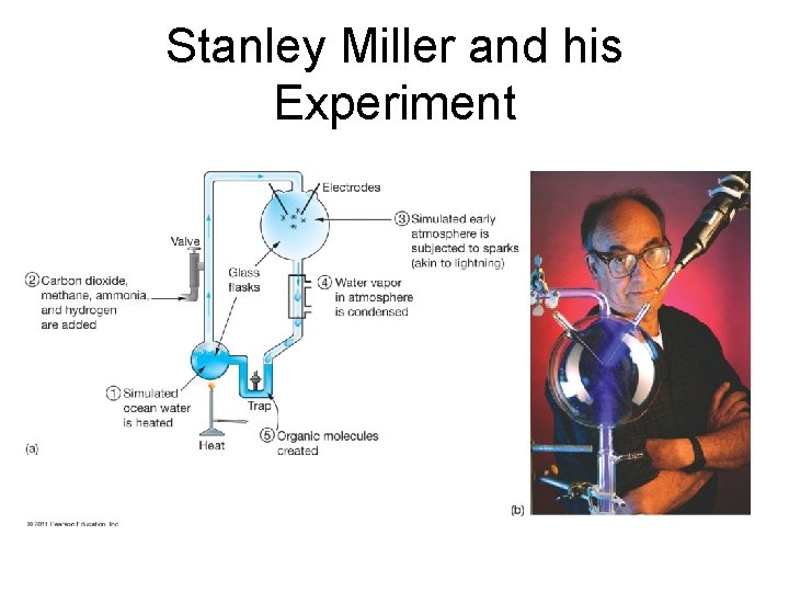 Stanley Miller and his Experiment 