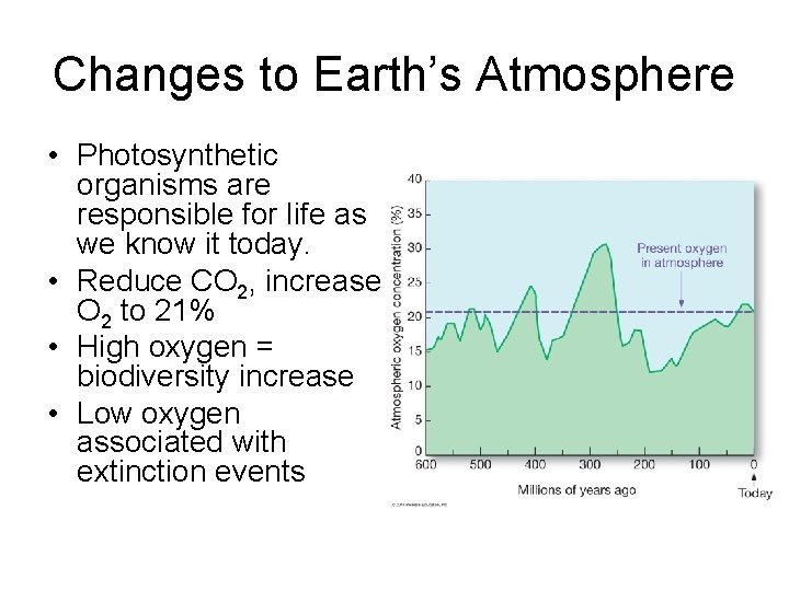 Changes to Earth’s Atmosphere • Photosynthetic organisms are responsible for life as we know