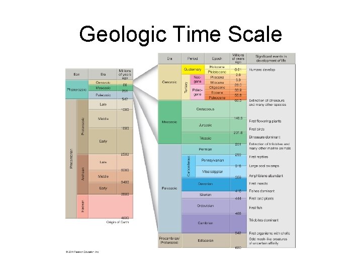 Geologic Time Scale 