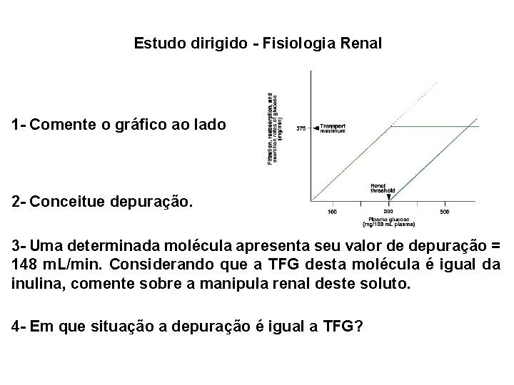 Estudo dirigido - Fisiologia Renal 1 - Comente o gráfico ao lado 2 -