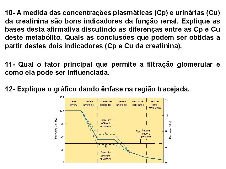 10 - A medida das concentrações plasmáticas (Cp) e urinárias (Cu) da creatinina são