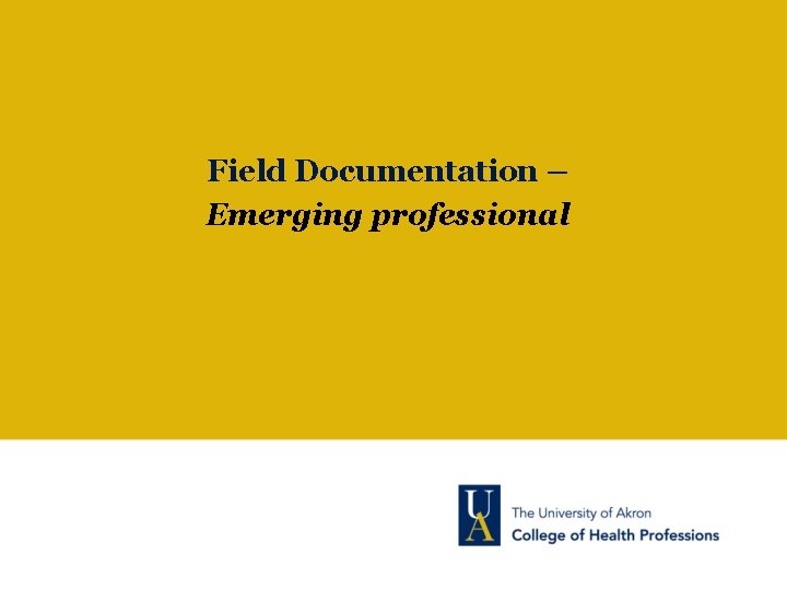Field Documentation – Emerging professional 