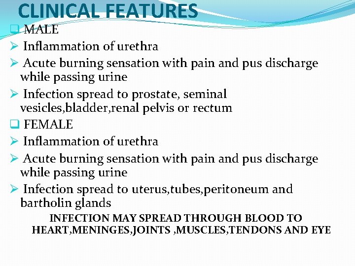 CLINICAL FEATURES q MALE Ø Inflammation of urethra Ø Acute burning sensation with pain