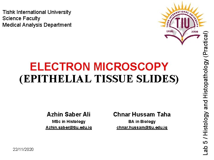 ELECTRON MICROSCOPY (EPITHELIAL TISSUE SLIDES) 22/11/2020 Azhin Saber Ali Chnar Hussam Taha MSc in