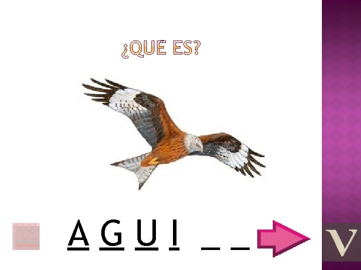 AGUI __ 