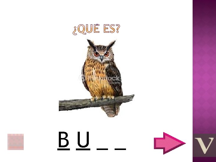 BU__ 