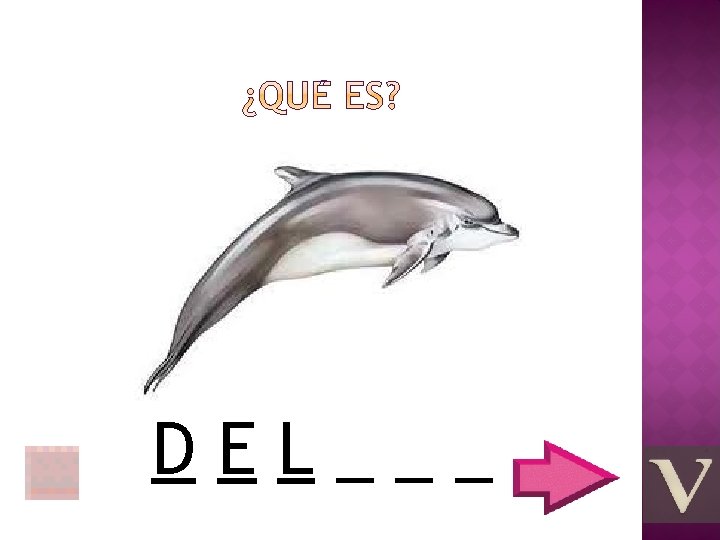 DEL___ 