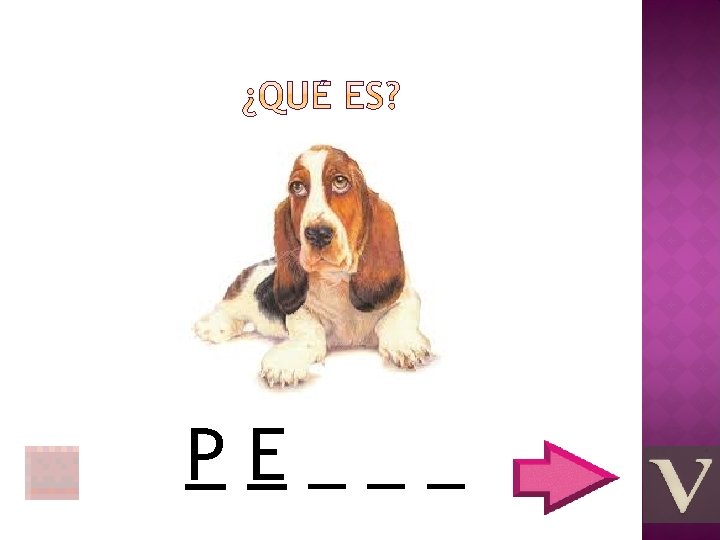 PE___ 