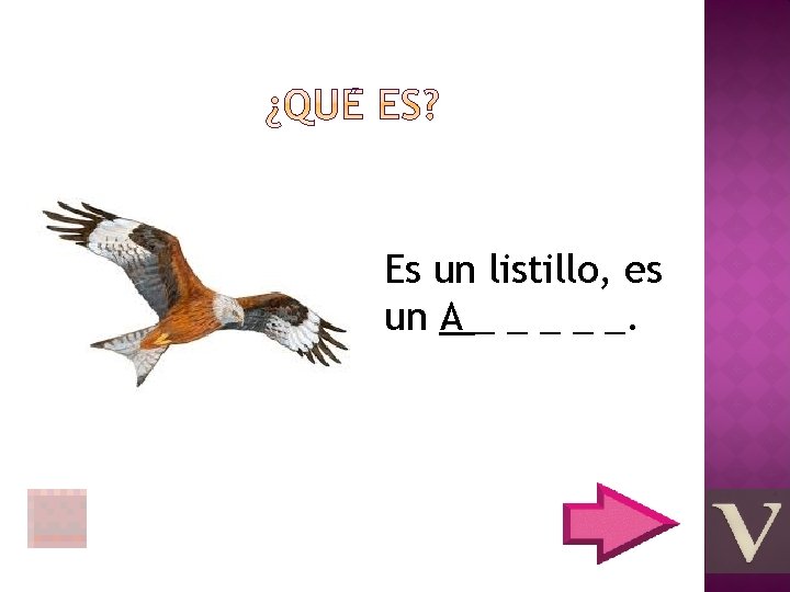 Es un listillo, es un A _ _ _. 