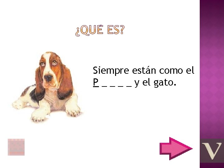 Siempre están como el P _ _ y el gato. 