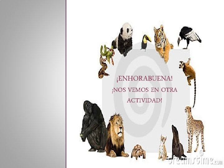 ¡ENHORABUENA! ¡NOS VEMOS EN OTRA ACTIVIDAD! 
