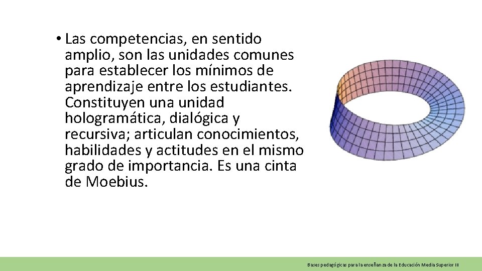  • Las competencias, en sentido amplio, son las unidades comunes para establecer los