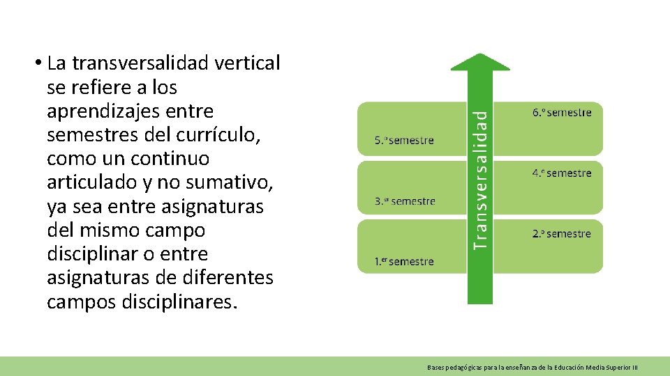  • La transversalidad vertical se refiere a los aprendizajes entre semestres del currículo,