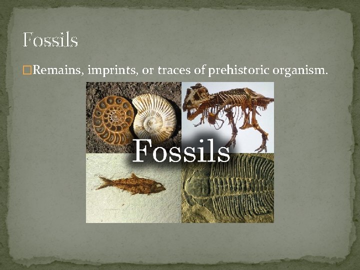 Fossils �Remains, imprints, or traces of prehistoric organism. 