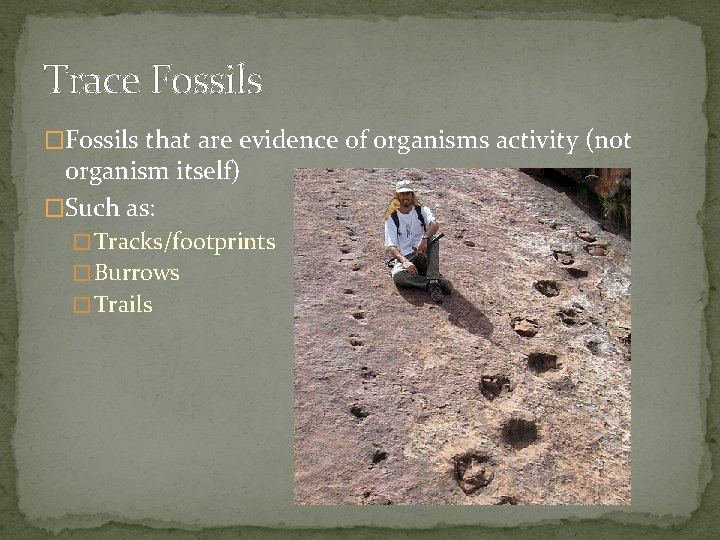 Trace Fossils �Fossils that are evidence of organisms activity (not organism itself) �Such as: