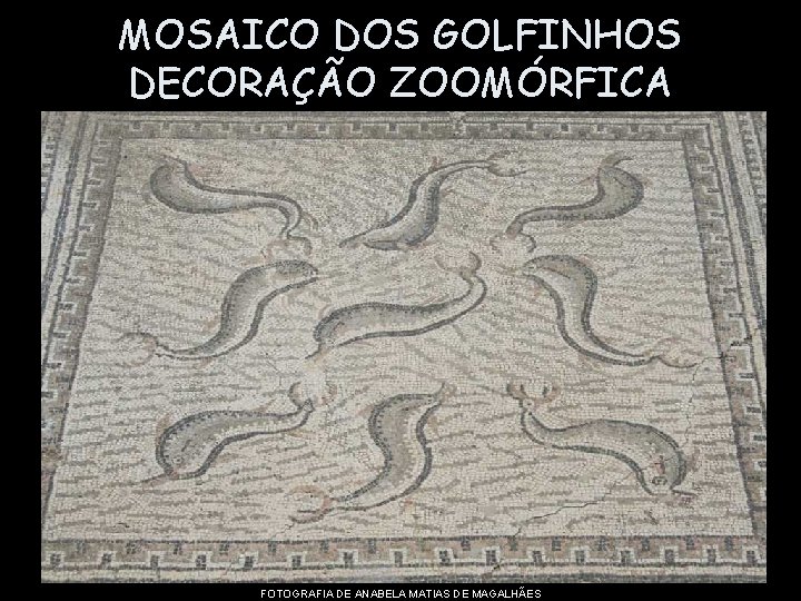 MOSAICO DOS GOLFINHOS DECORAÇÃO ZOOMÓRFICA FOTOGRAFIA DE ANABELA MATIAS DE MAGALHÃES 