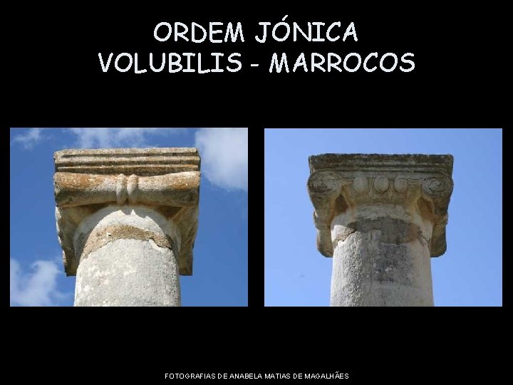 ORDEM JÓNICA VOLUBILIS - MARROCOS FOTOGRAFIAS DE ANABELA MATIAS DE MAGALHÃES 