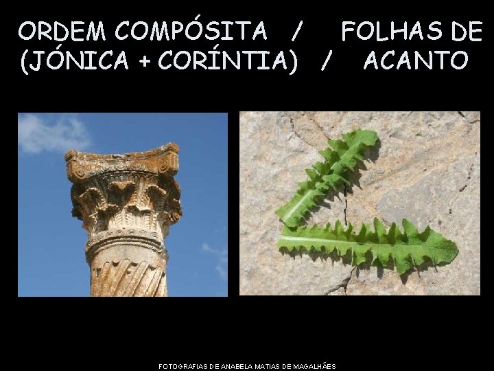 ORDEM COMPÓSITA / FOLHAS DE (JÓNICA + CORÍNTIA) / ACANTO FOTOGRAFIAS DE ANABELA MATIAS