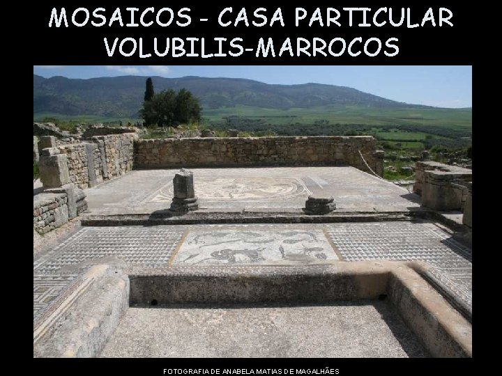 MOSAICOS - CASA PARTICULAR VOLUBILIS-MARROCOS FOTOGRAFIA DE ANABELA MATIAS DE MAGALHÃES 