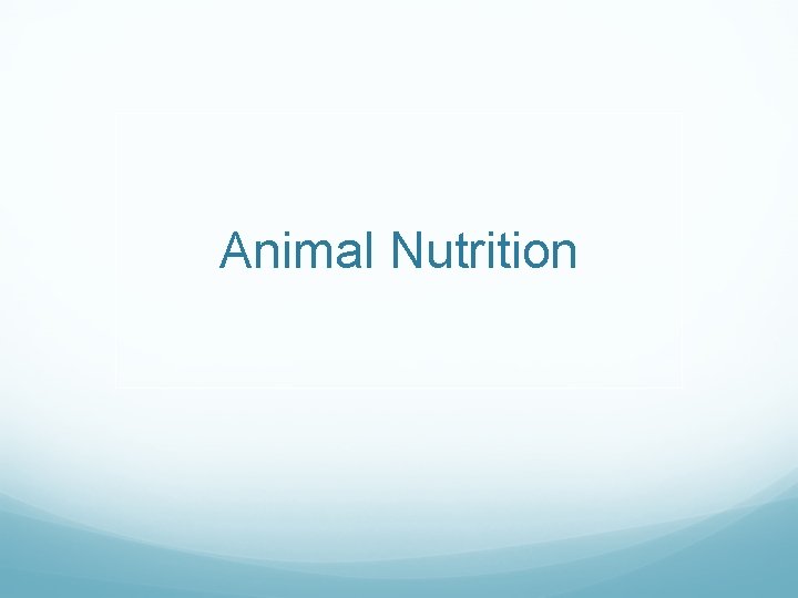 Animal Nutrition 
