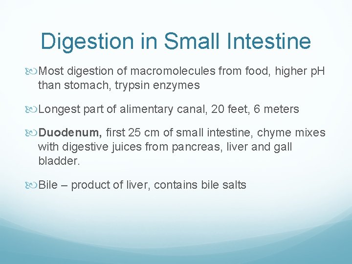 Digestion in Small Intestine Most digestion of macromolecules from food, higher p. H than