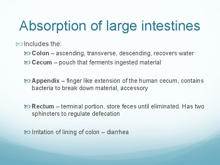 Absorption of large intestines Includes the: Colon – ascending, transverse, descending, recovers water Cecum