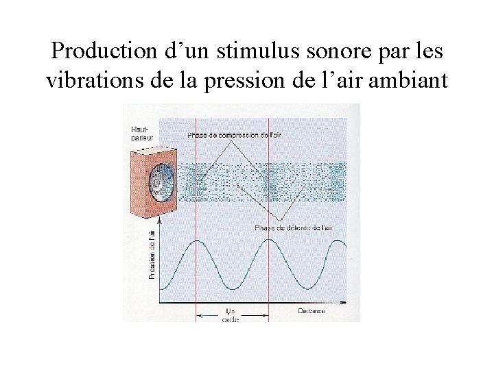 Production d’un stimulus sonore par les vibrations de la pression de l’air ambiant 