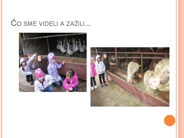 ČO SME VIDELI A ZAŽILI. . . ČO SME VIDELI A ZAŽILI. . .