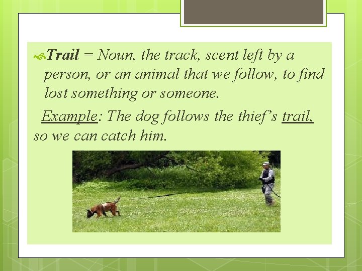  Trail = Noun, the track, scent left by a person, or an animal