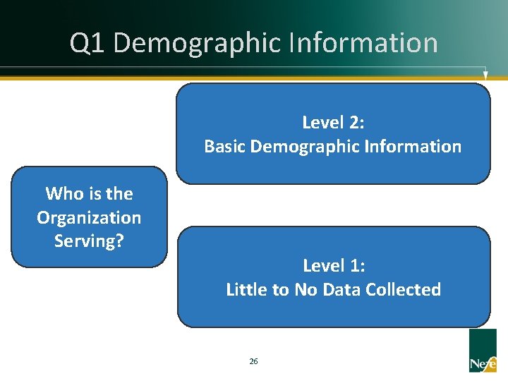 Q 1 Demographic Information Level 2: Basic Demographic Information Who is the Organization Serving?