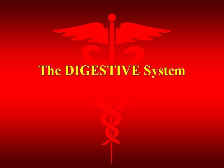 The DIGESTIVE System 