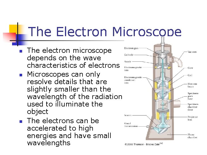 The Electron Microscope n n n The electron microscope depends on the wave characteristics