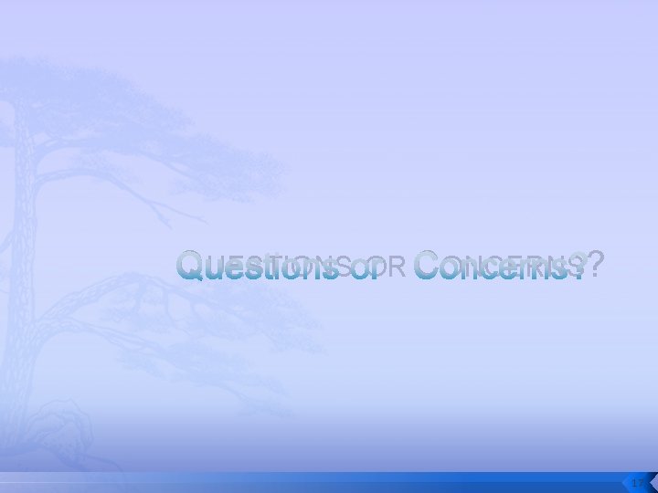 QUESTIONS OR CONCERNS? 17 