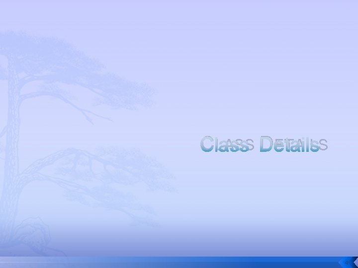 CLASS DETAILS 4 